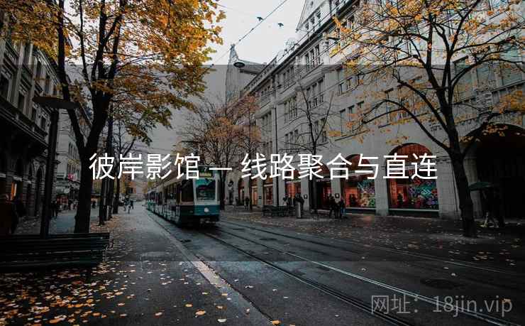 彼岸影馆 — 线路聚合与直连