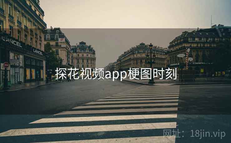 探花视频app梗图时刻 探花视频app梗图时刻