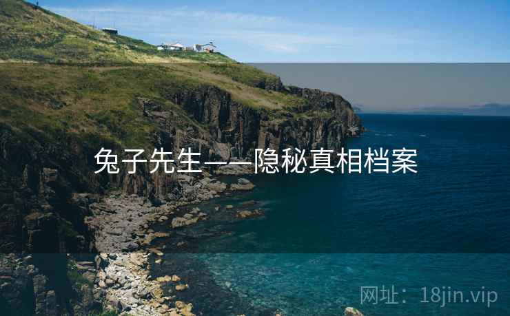 兔子先生——隐秘真相档案