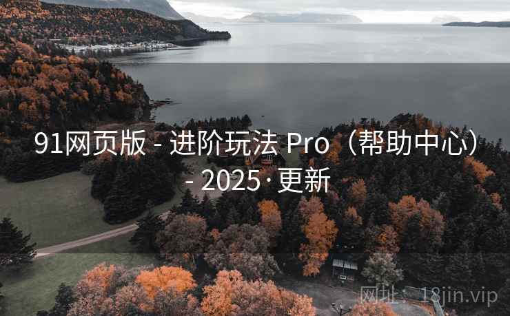 91网页版 - 进阶玩法 Pro（帮助中心） - 2025·更新