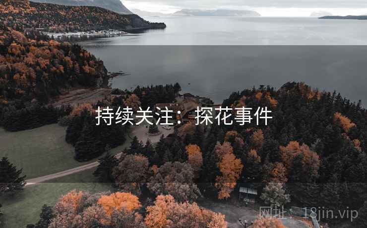 持续关注：探花事件