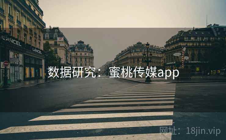 数据研究：蜜桃传媒app